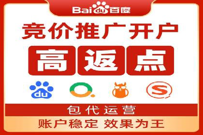 行业翘楚的sem代运营机构：成功案例解析